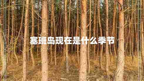 塞班島現在是什么季節