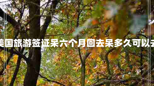 美國旅游簽證呆六個(gè)月回去呆多久可以去