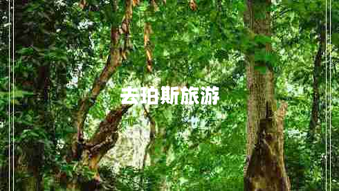 去珀斯旅游