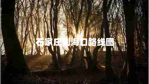 石家莊到海口路線(xiàn)圖