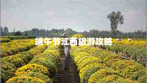 端午節江西旅游攻略