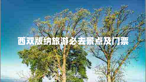 西雙版納旅游必去景點(diǎn)及門(mén)票