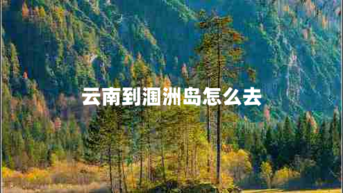 云南到潿洲島怎么去