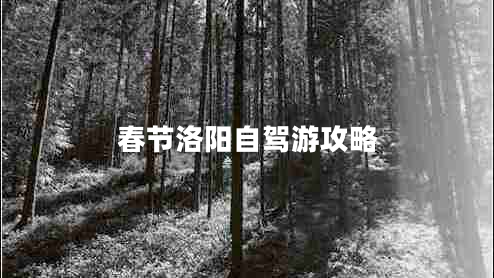 春節洛陽(yáng)自駕游攻略
