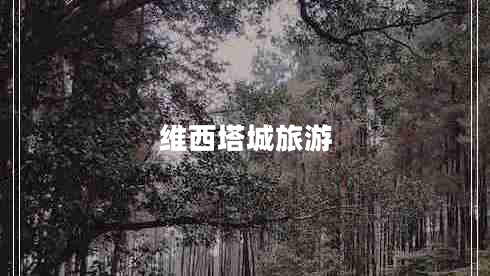 維西塔城旅游