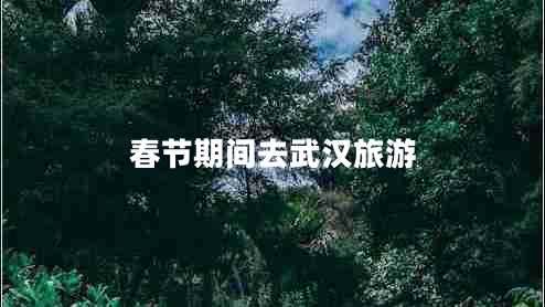 春節期間去武漢旅游