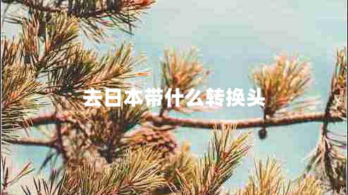 去日本帶什么轉換頭