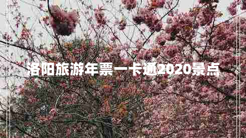 洛陽(yáng)旅游年票一卡通2020景點(diǎn)