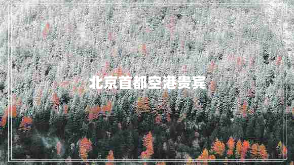 北京首都空港貴賓