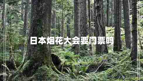 日本煙花大會(huì )要門(mén)票嗎