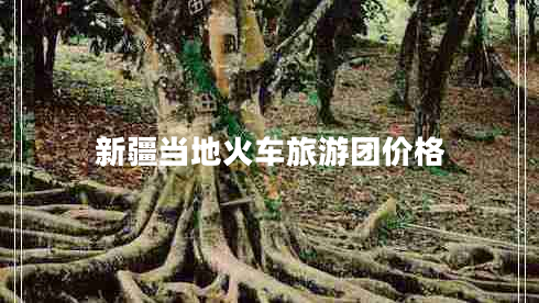 新疆當地火車(chē)旅游團價(jià)格