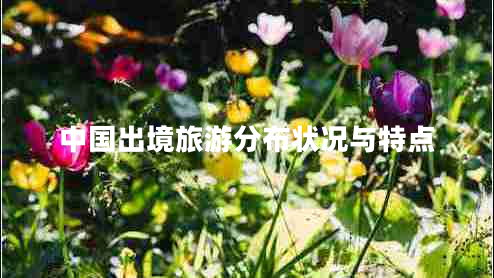 中國出境旅游分布狀況與特點(diǎn)