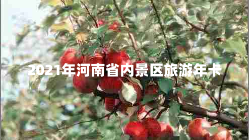 2021年河南省內景區旅游年卡