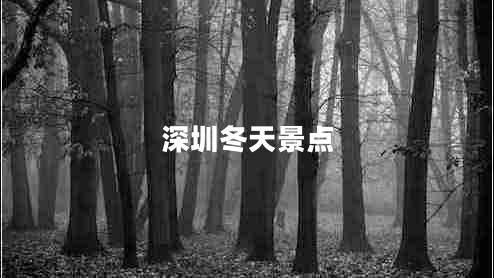 深圳冬天景點(diǎn)