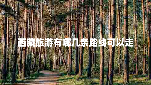 西藏旅游有哪幾條路線(xiàn)可以走