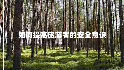 如何提高旅游者的安全意識
