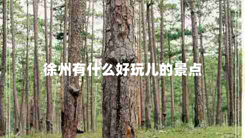徐州有什么好玩兒的景點(diǎn)