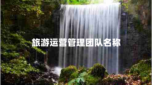 旅游運(yùn)營管理團(tuán)隊(duì)名稱