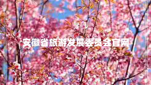 安徽省旅游發(fā)展委員會(huì )官網(wǎng)