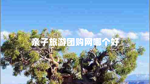 親子旅游團購網(wǎng)哪個(gè)好