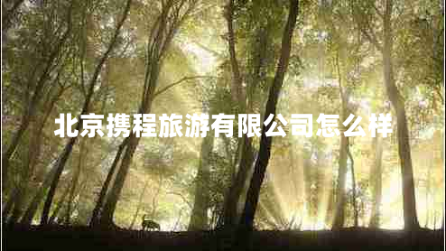 北京攜程旅游有限公司怎么樣