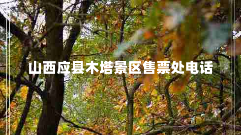 山西應縣木塔景區售票處電話(huà)
