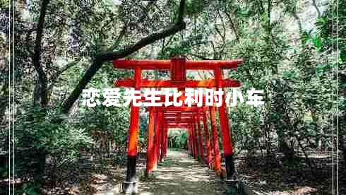 戀愛(ài)先生比利時(shí)小車(chē)