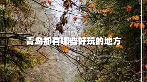 青島都有哪些好玩的地方