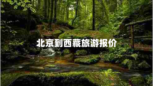 北京到西藏旅游報價(jià)