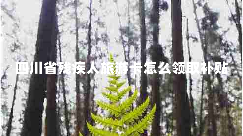四川省殘疾人旅游卡怎么領(lǐng)取補貼