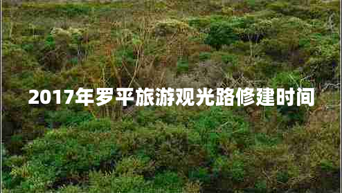 2017年羅平旅游觀光路修建時(shí)間
