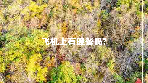飛機上有晚餐嗎?