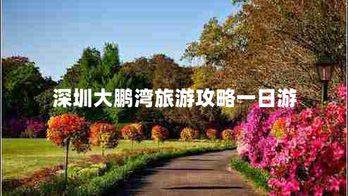 深圳大鵬灣旅游攻略一日游