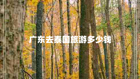 廣東去泰國旅游多少錢(qián)