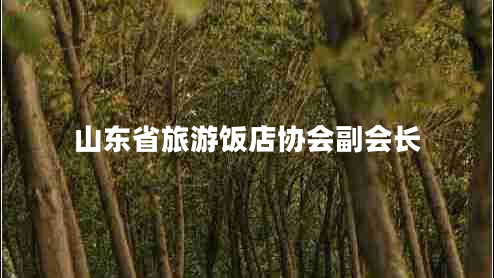 山東省旅游飯店協(xié)會(huì )副會(huì )長(cháng)