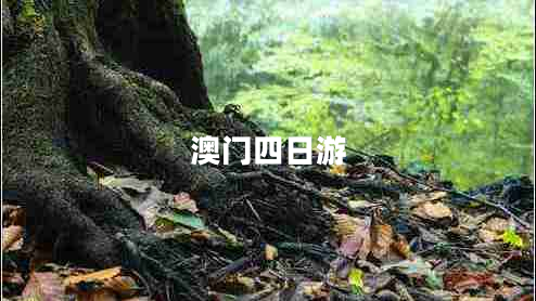 澳門(mén)四日游