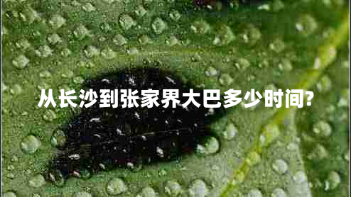 從長(cháng)沙到張家界大巴多少時(shí)間?