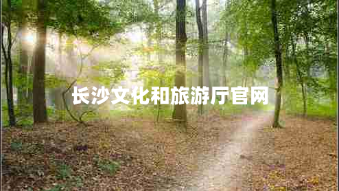 長(cháng)沙文化和旅游廳官網(wǎng)