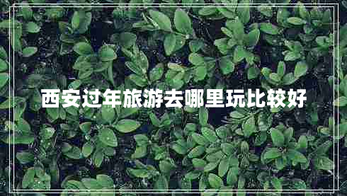 西安過(guò)年旅游去哪里玩比較好