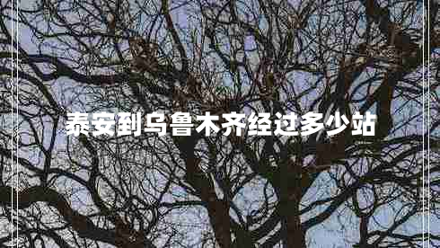 泰安到烏魯木齊經(jīng)過(guò)多少站