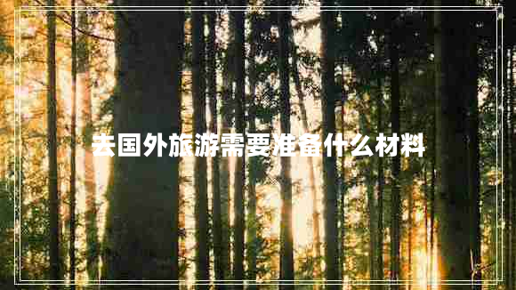 去國外旅游需要準備什么材料