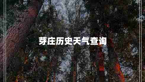 芽莊歷史天氣查詢(xún)