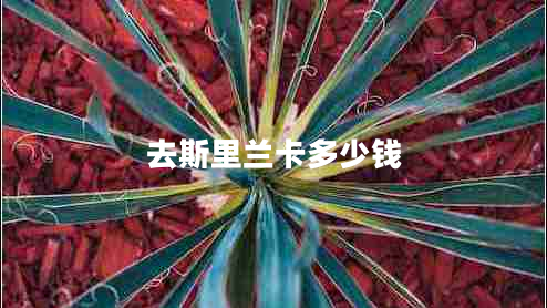 去斯里蘭卡多少錢(qián)