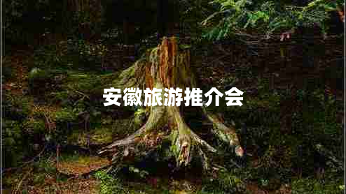 安徽旅游推介會(huì )