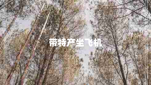 帶特產(chǎn)坐飛機