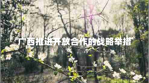 廣西推進(jìn)開(kāi)放合作的戰略舉措