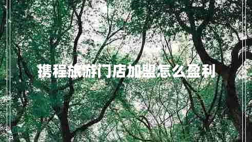 攜程旅游門(mén)店加盟怎么盈利