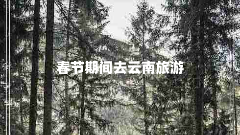 春節期間去云南旅游