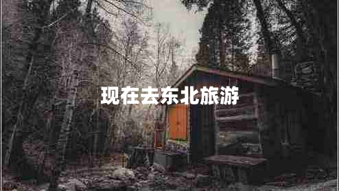 現在去東北旅游