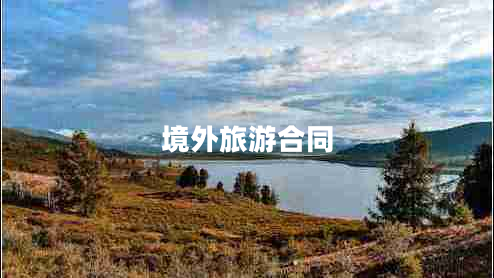 境外旅游合同